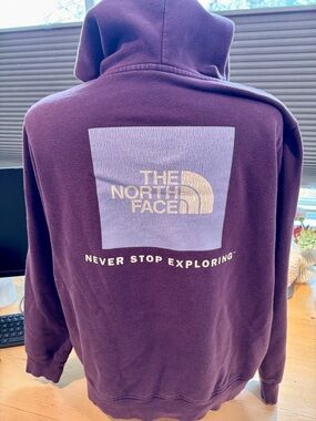 Northface Evolution Box Hoodie Women Size Large Plum